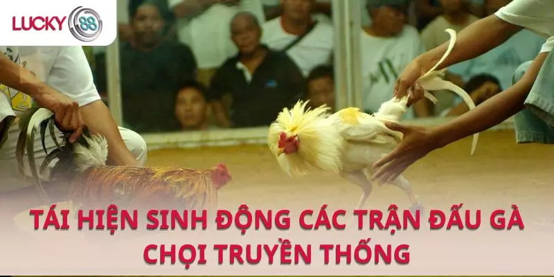 Đá gà LUCKY88 tái hiện sinh động các trận đấu gà chọi truyền thống